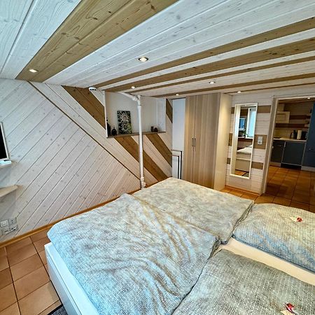 Schwabennestle - Ferienwohnung Albstadt-Onstmettingen 外观 照片